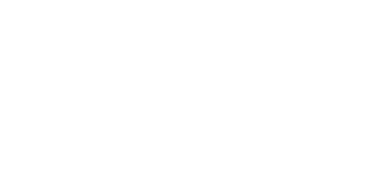 Link to Google Review